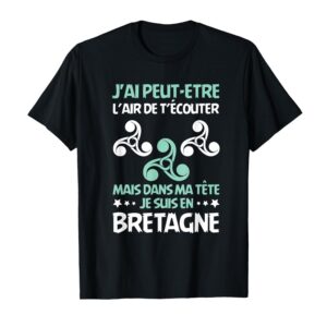 t chirt dans ma tete je suis en bretagne