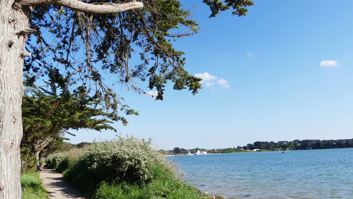10 balades dans le pays de Vannes