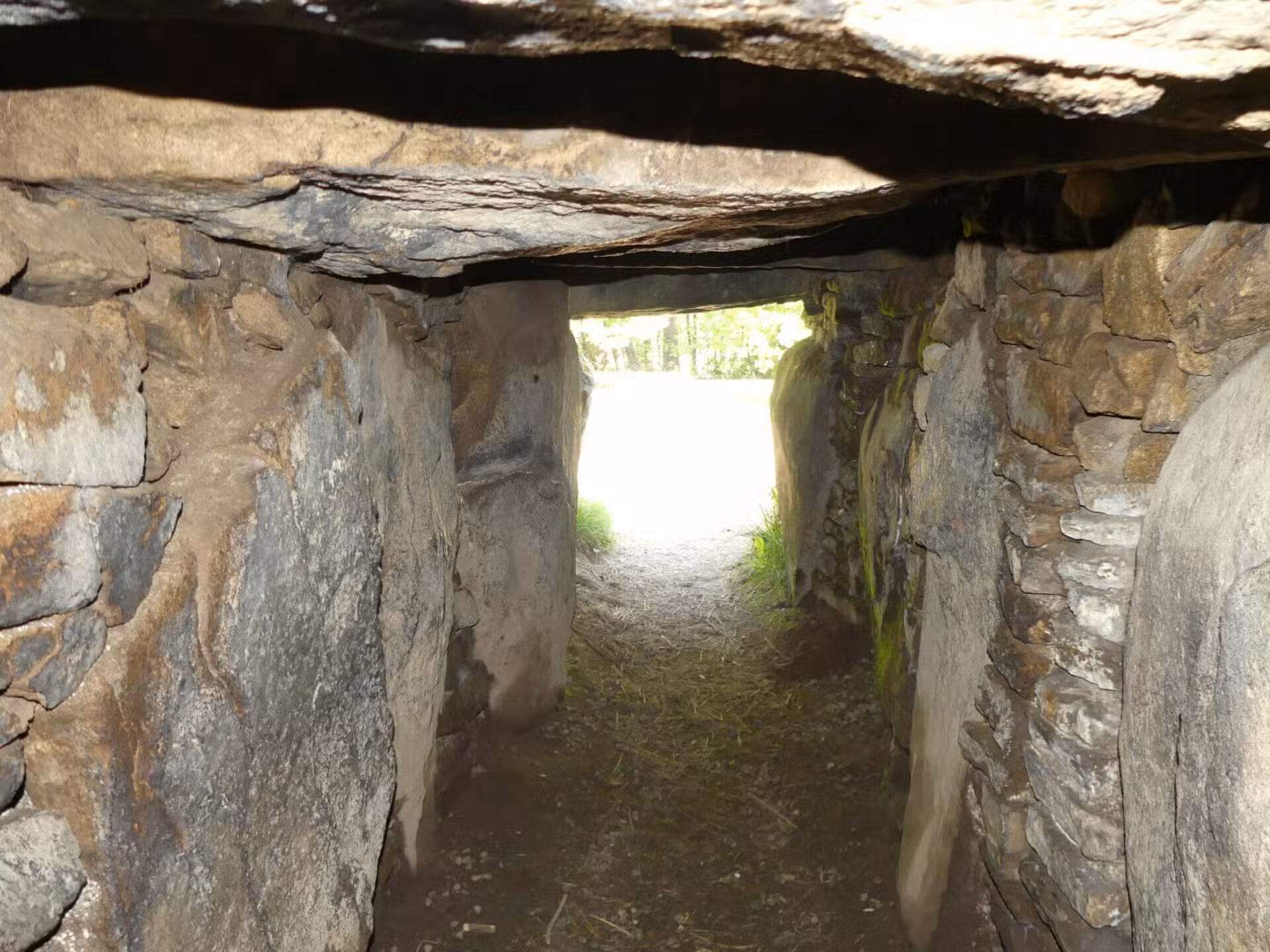 Tumulus de Kernours au Bono — monument néolithique niché dans la pinède