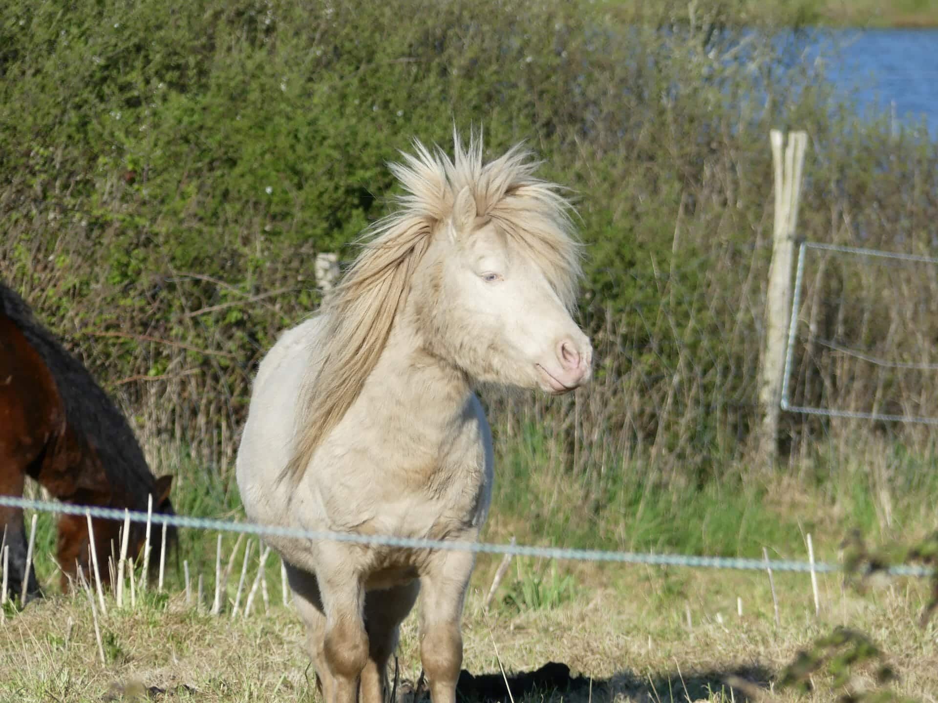 Activités Séné Golfe du Morbihan