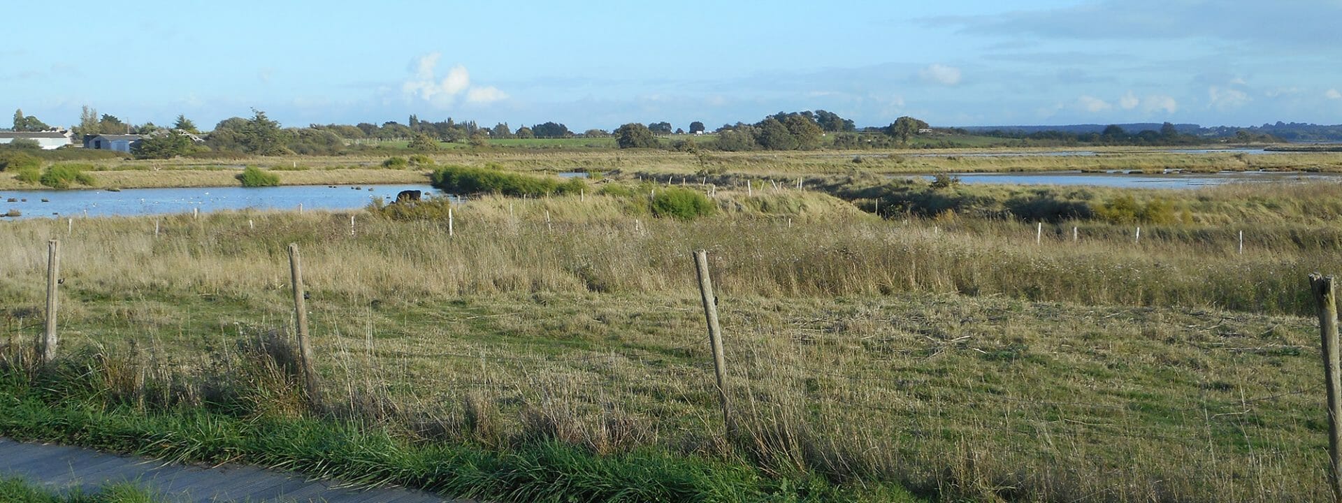 Réserve Naturelle des Marais de Séné — oiseaux et paysages du Golfe du Morbihan
