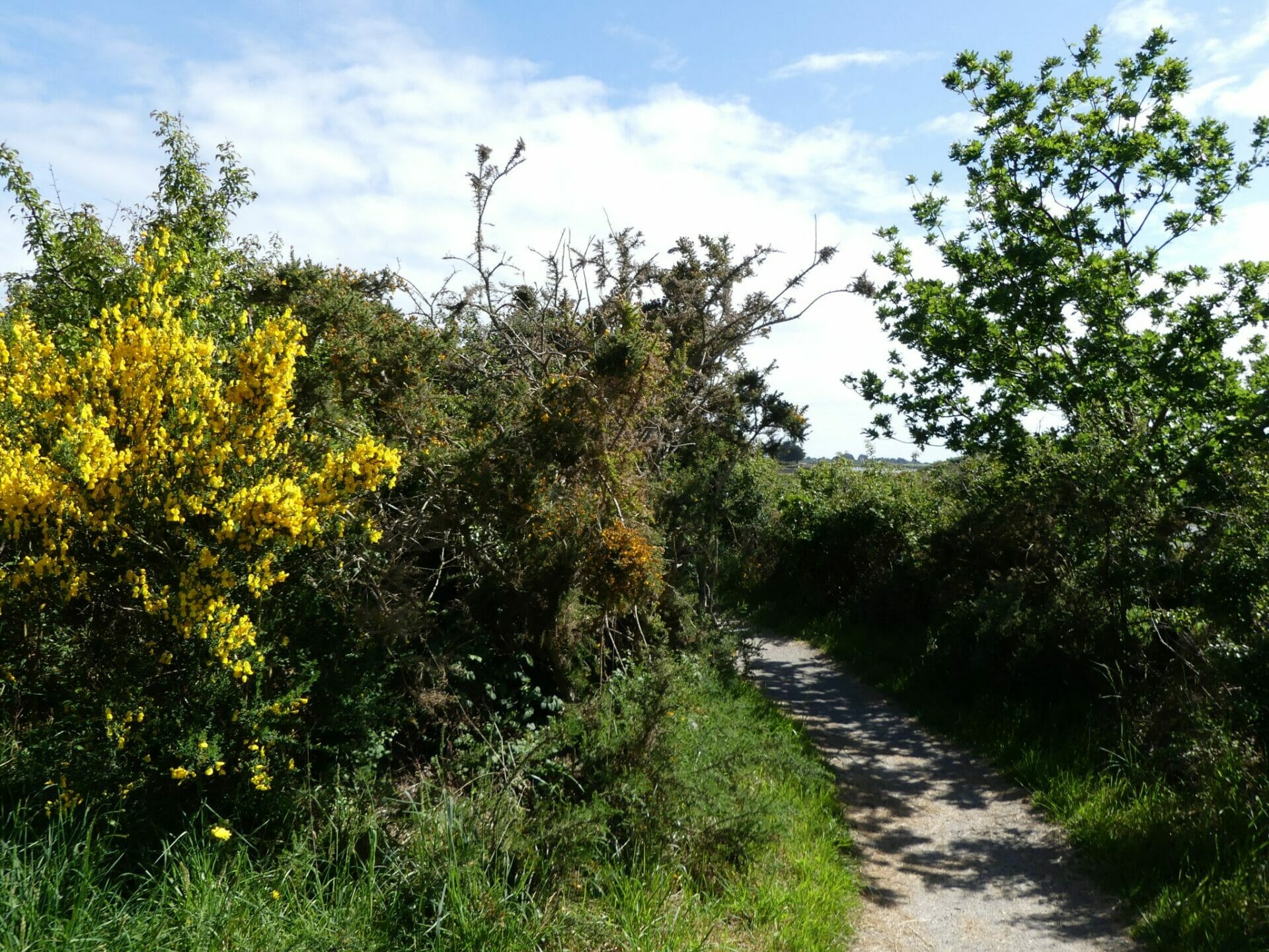 Randonnée à Séné — sentiers côtiers entre marais et Golfe du Morbihan