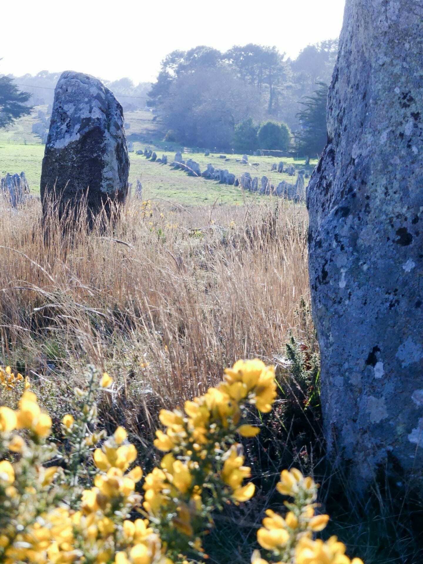 Alignements de Carnac