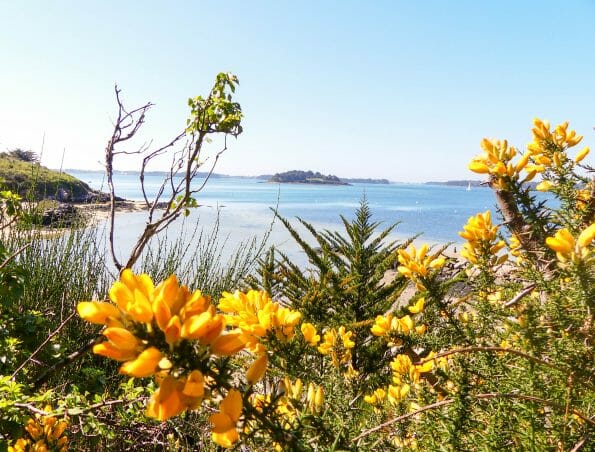 L'île Aux Moines, La Perle Du Golfe Dans Le Golfe Du Morbihan