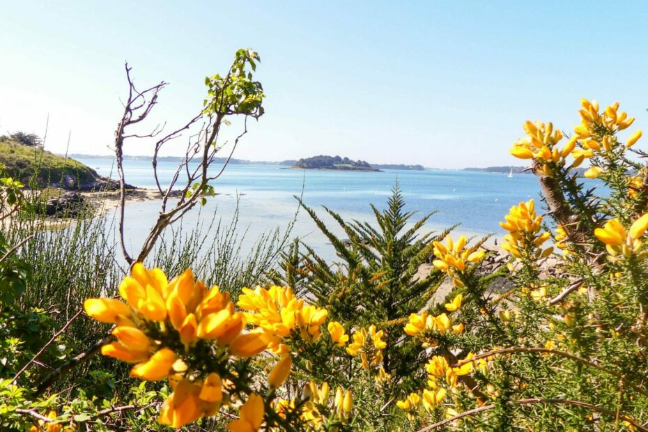 ile aux moines morbihan bretagne 3