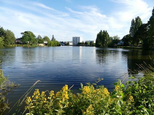 etang du duc vannes morbihan