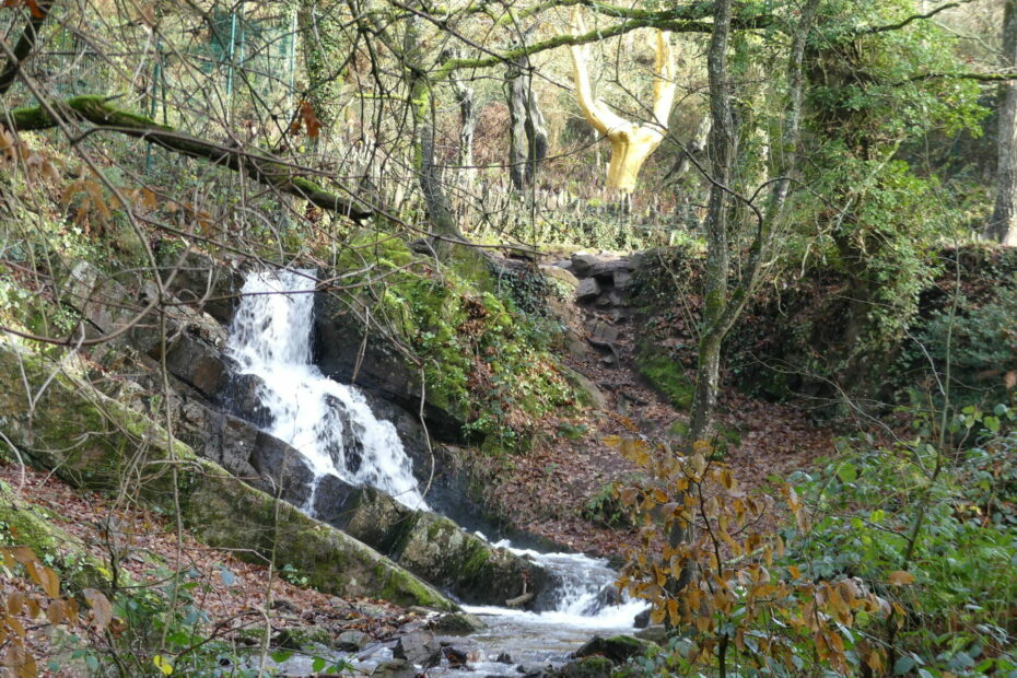 arbre d or broceliande bretagne 1