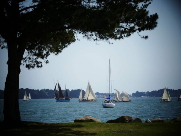 semaine du golfe du morbihan bretagne 13