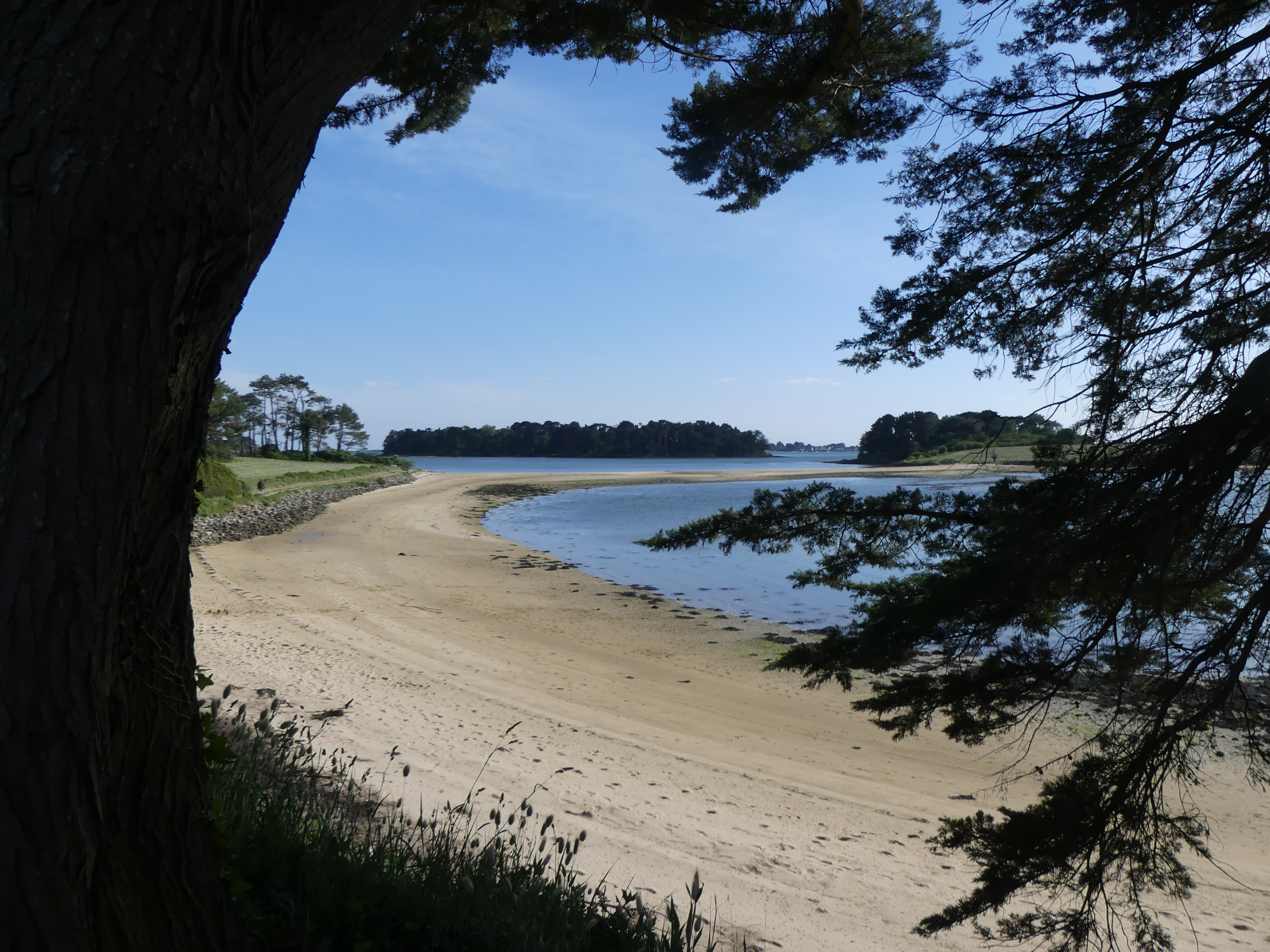 Plages du Golfe du Morbihan