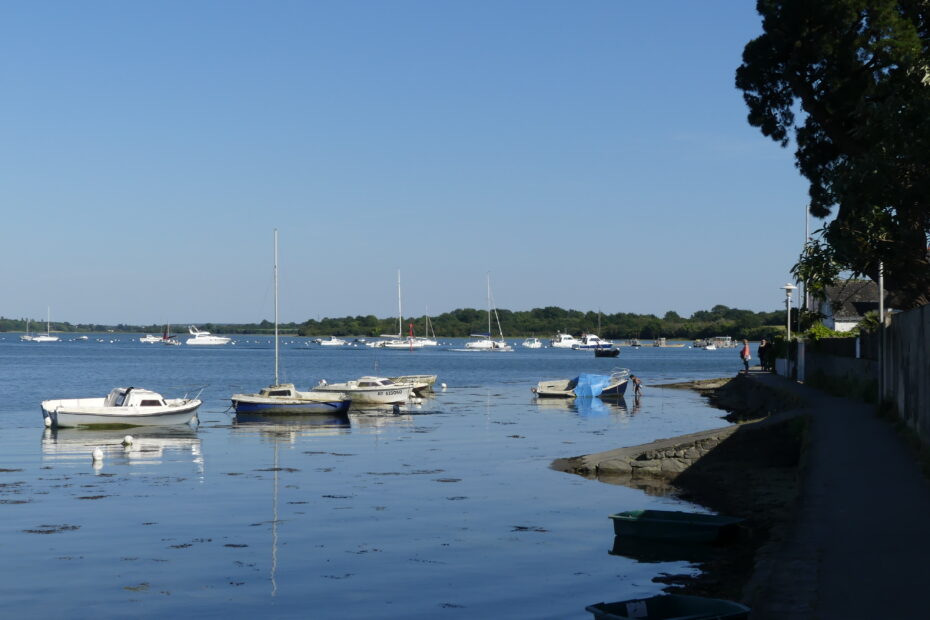 conleau vannes scaled