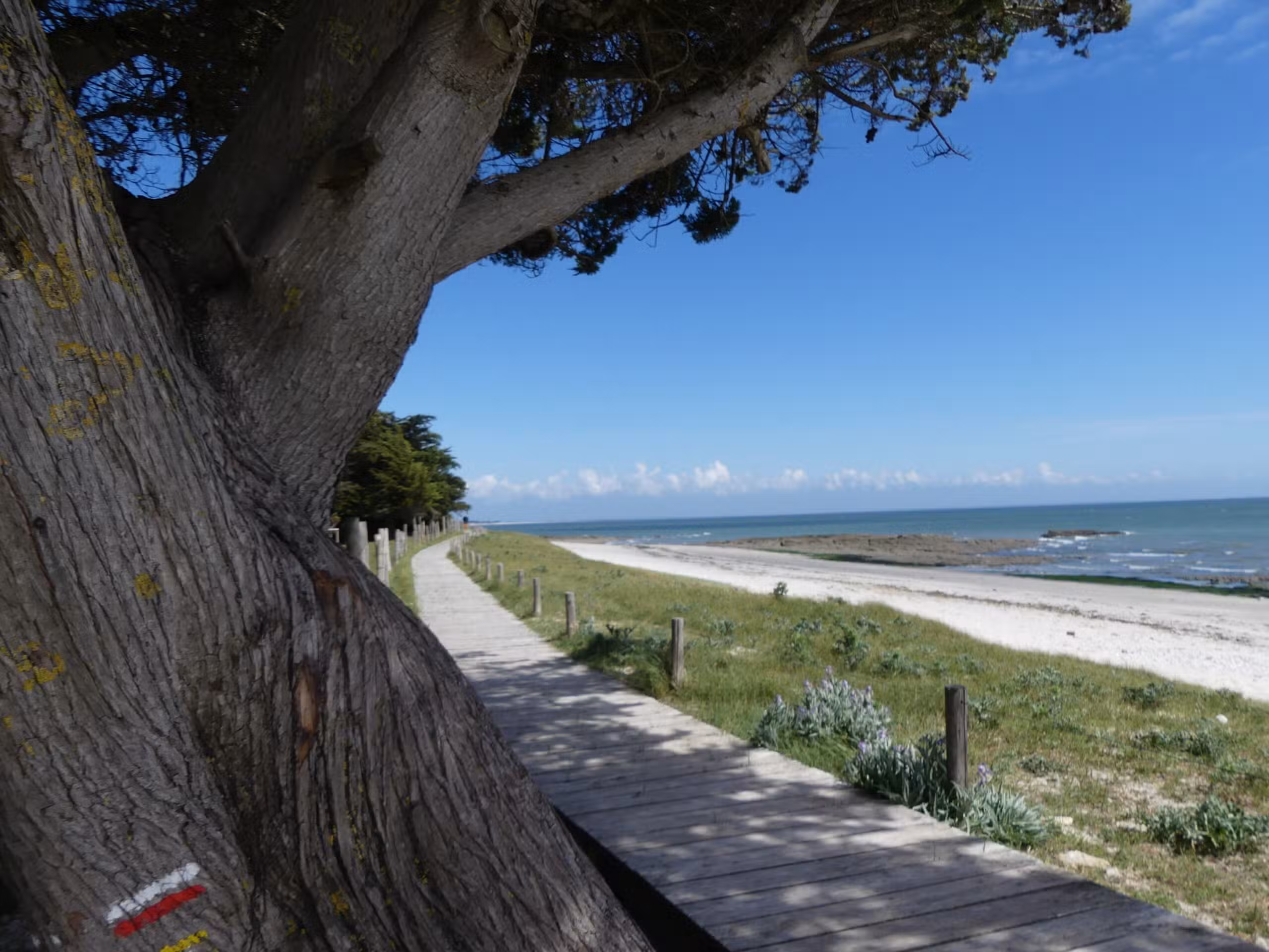 Sentier côtier GR34 — Presqu'île de Rhuys, Sarzeau, Golfe du Morbihan