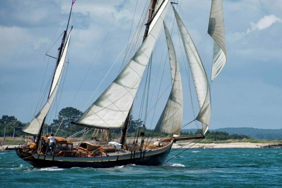 entree Lys noir golfe du morbihan