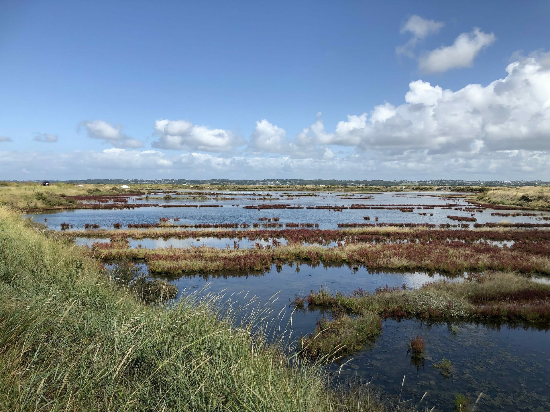 Paludier récoltant la fleur de sel dans les marais de Guérande