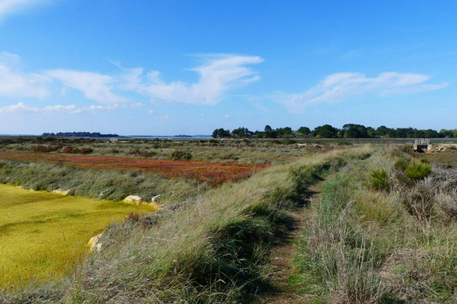 marais salants de Lasne 50