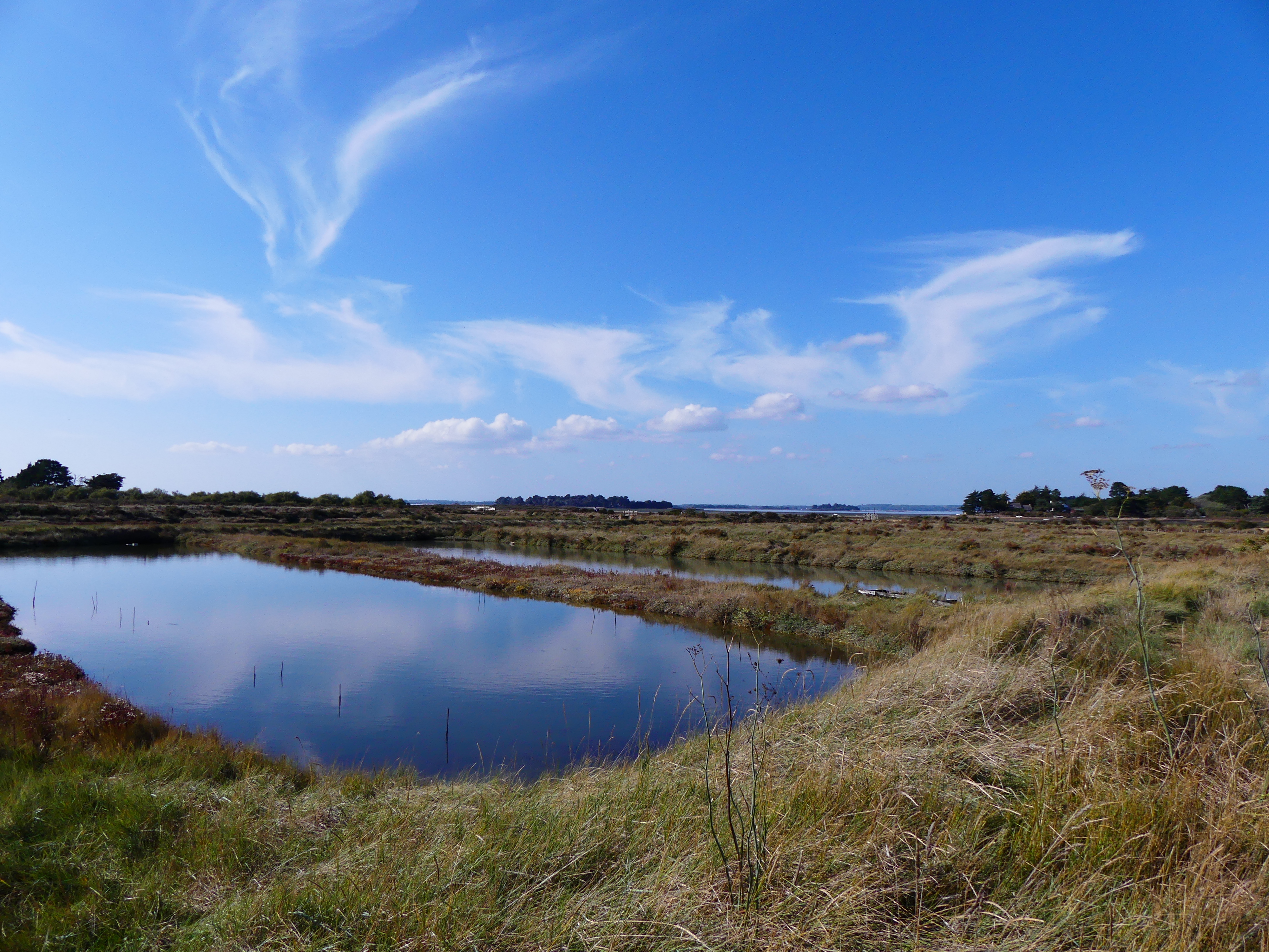 Paysage du marais salant de Lasné sous la lumière bretonne, Golfe du Morbihan