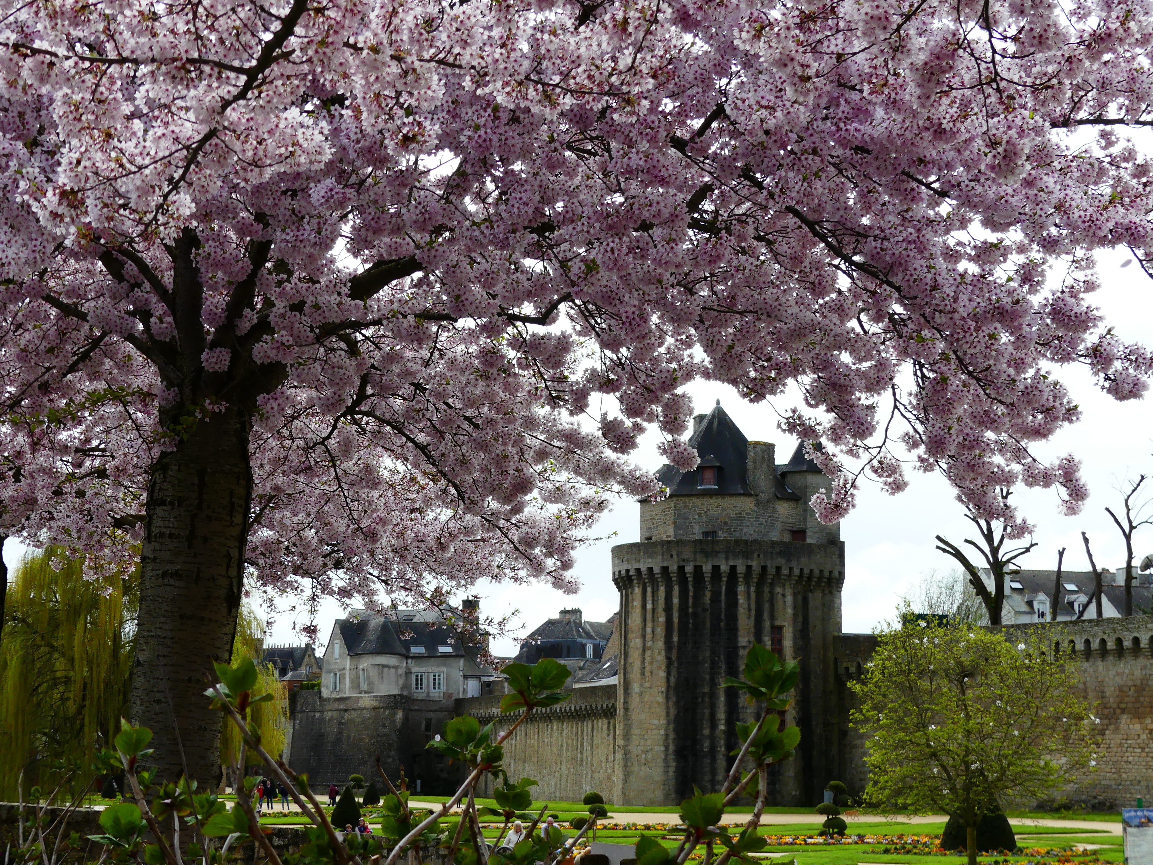 Le jardin des remparts de Vannes au printemps, vue d'ensemble