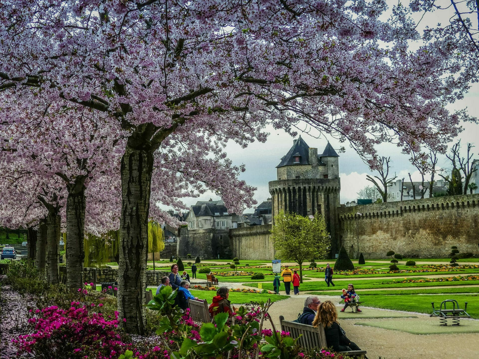 vannes cerisiers japon 76 scaled