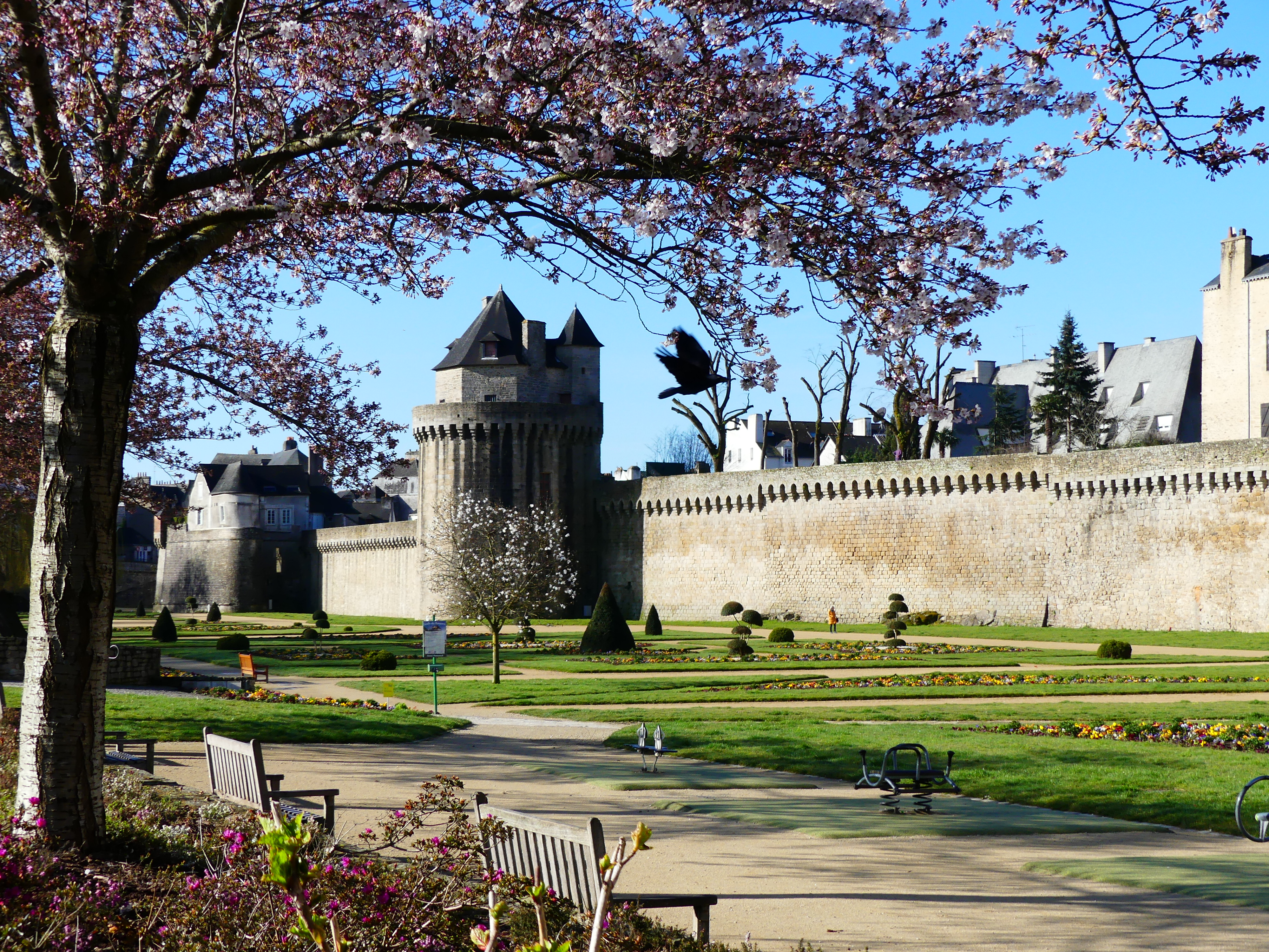 Floraison printanière au jardin des remparts de Vannes, cerisiers et magnolias