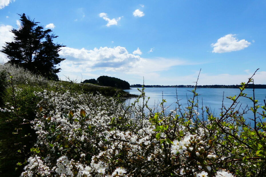randonnnee tour ile aux moines golfe du morbihan
