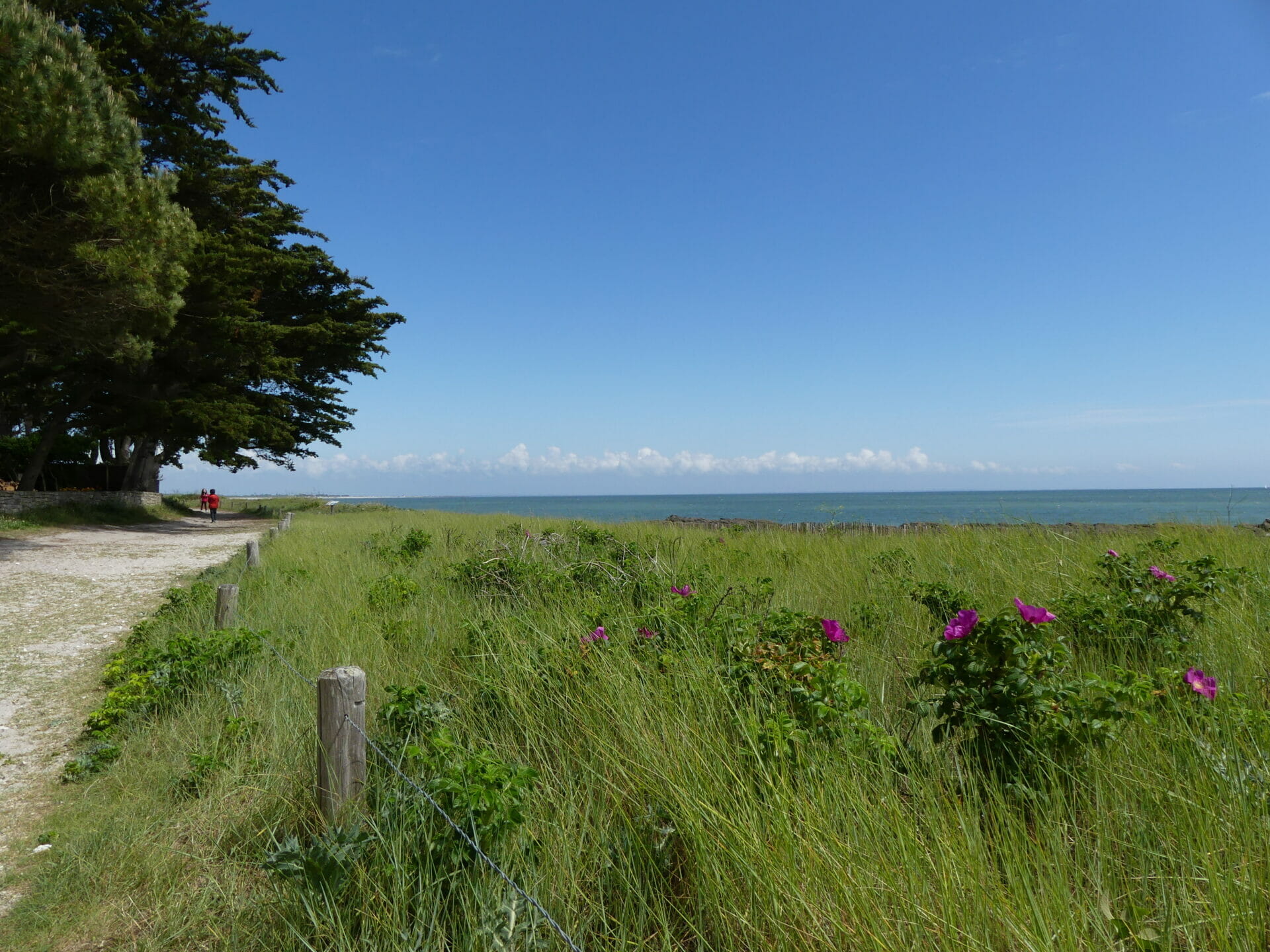 Balade en famille dans le Morbihan