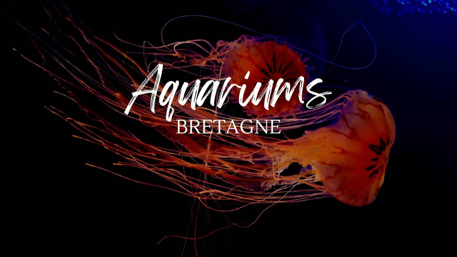 Les aquariums en Bretagne : quel aquarium visiter ?