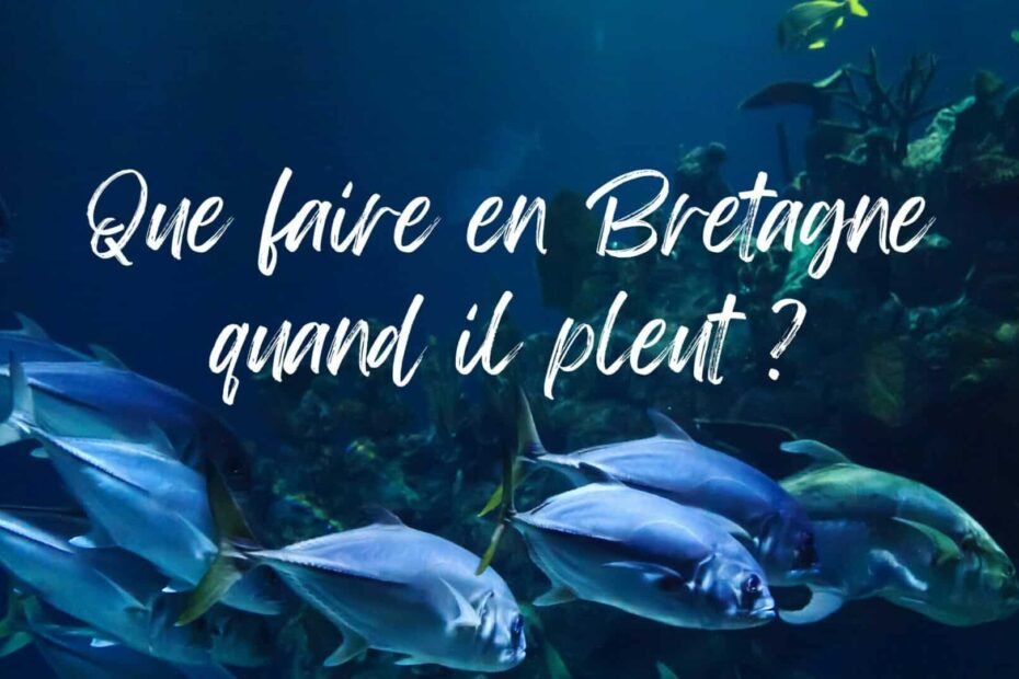 que faire en bretagne quand il pleut