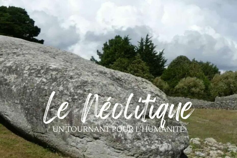 neolithique tournant humanite periode cle