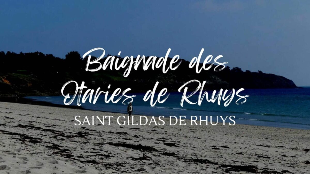 Baignade des Otaries de Rhuys, le 20 décembre 2026 à Saint Gildas de Rhuys (56)
