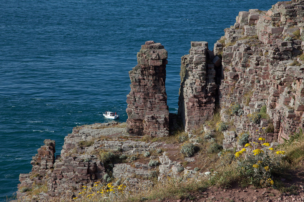Falaises du Cap Fréhel