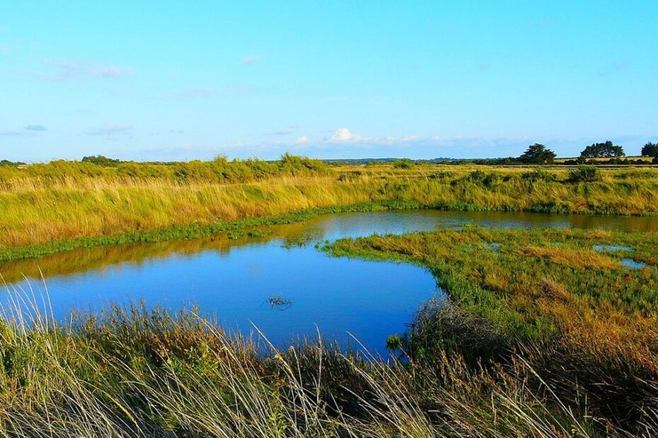Réserve Naturelle des Marais de Séné