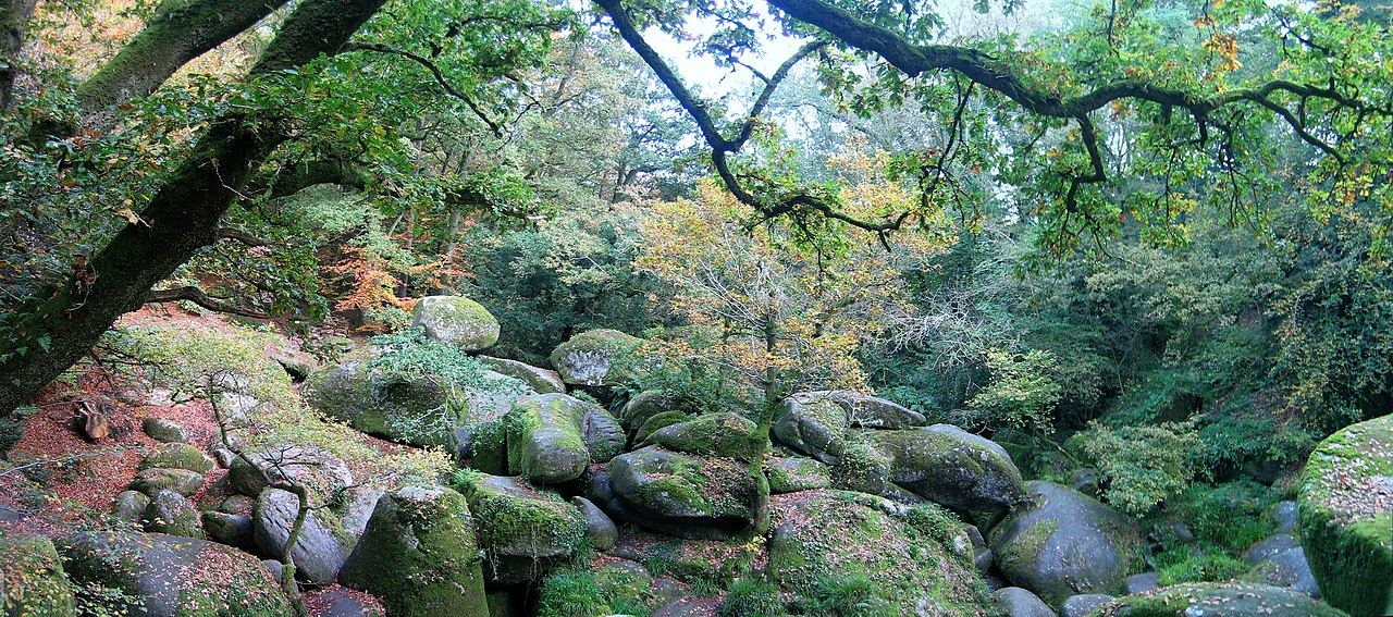 Granit de Huelgoat