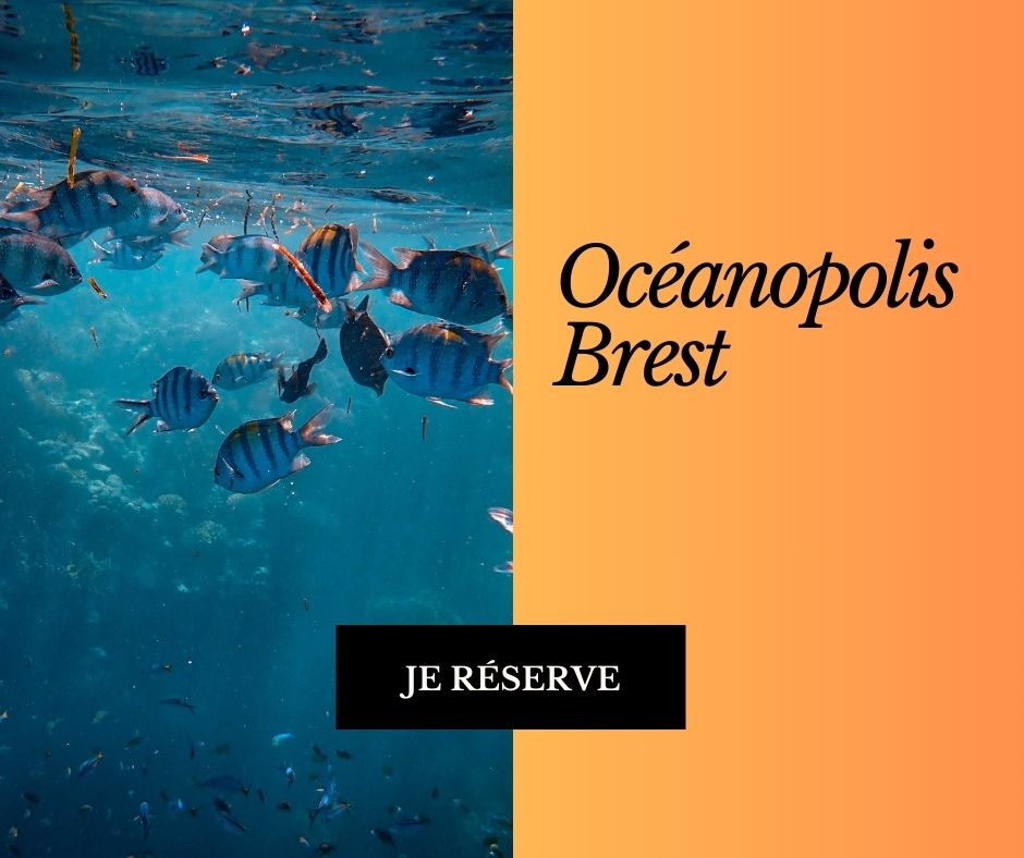 Billet Océanopolis Brest — aquarium Bretagne