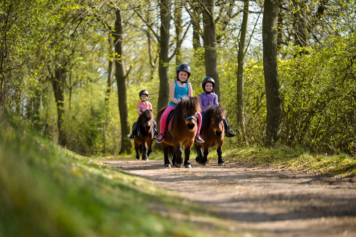 Enfants à poney sur la plage dans le Morbihan