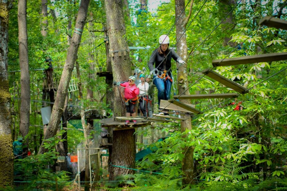 foret adrenaline carnac accrobranche