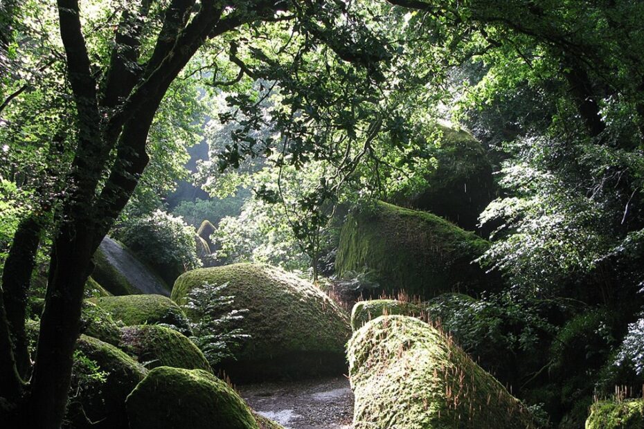 foret de Huelgoat