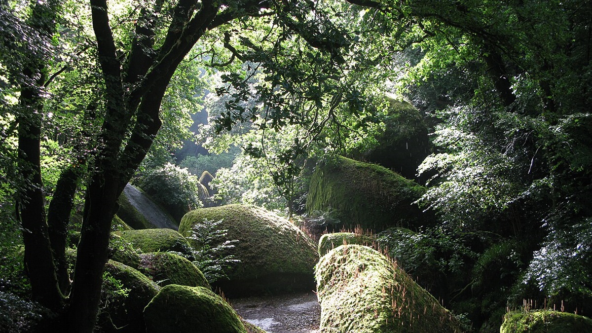 foret de Huelgoat