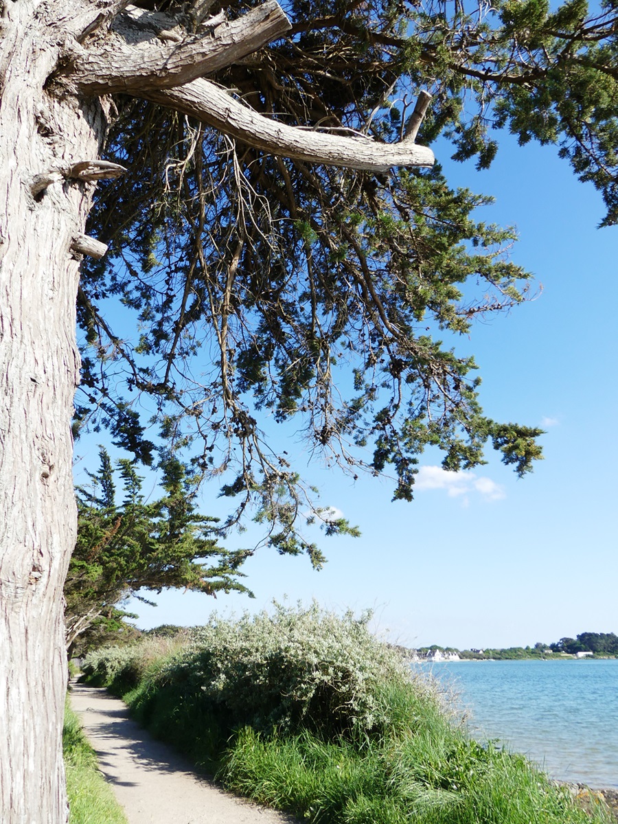 locmiquel plage sentier vue (10)