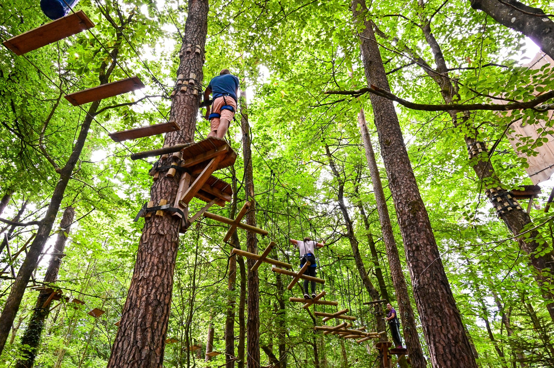 Parcours accrobranche dans les arbres au Ludana Parc en forêt de Camors