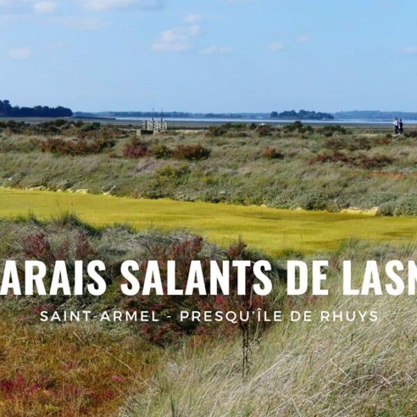 Découvrir les marais salants de Lasné