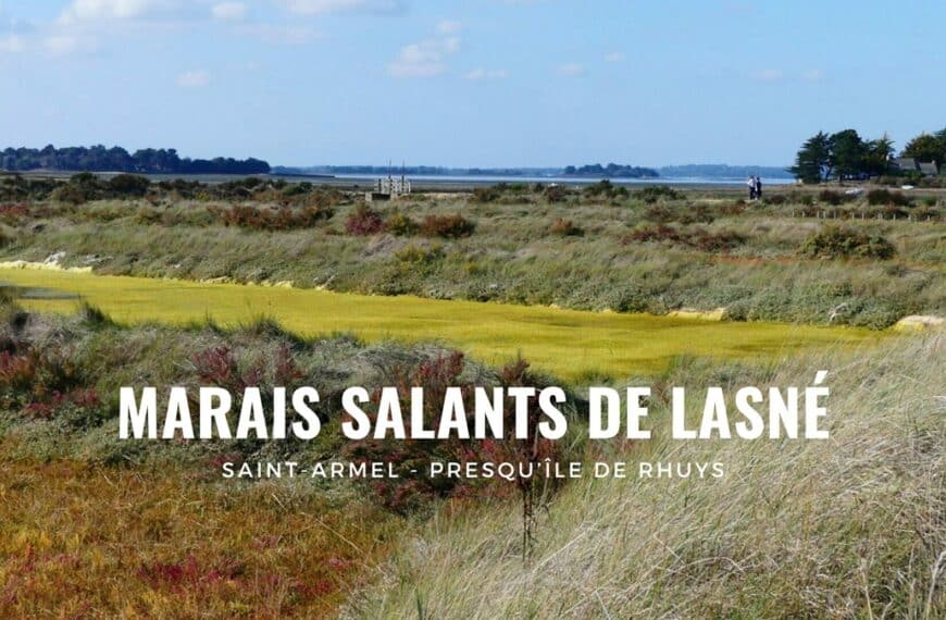 Découvrir les marais salants de Lasné