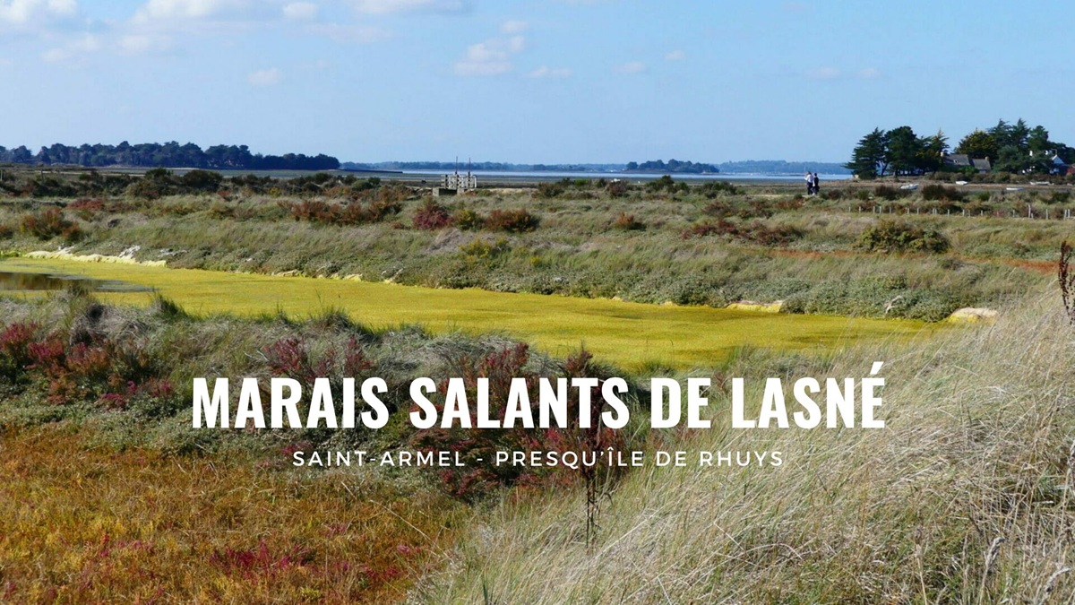 Découvrir les marais salants de Lasné