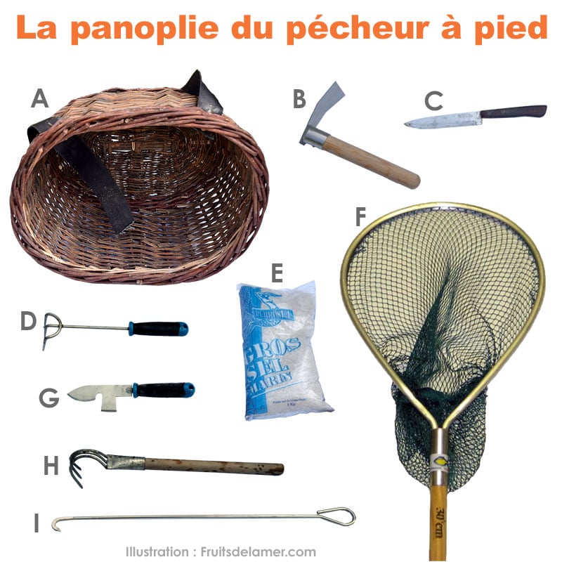 Outils de pêche à pied