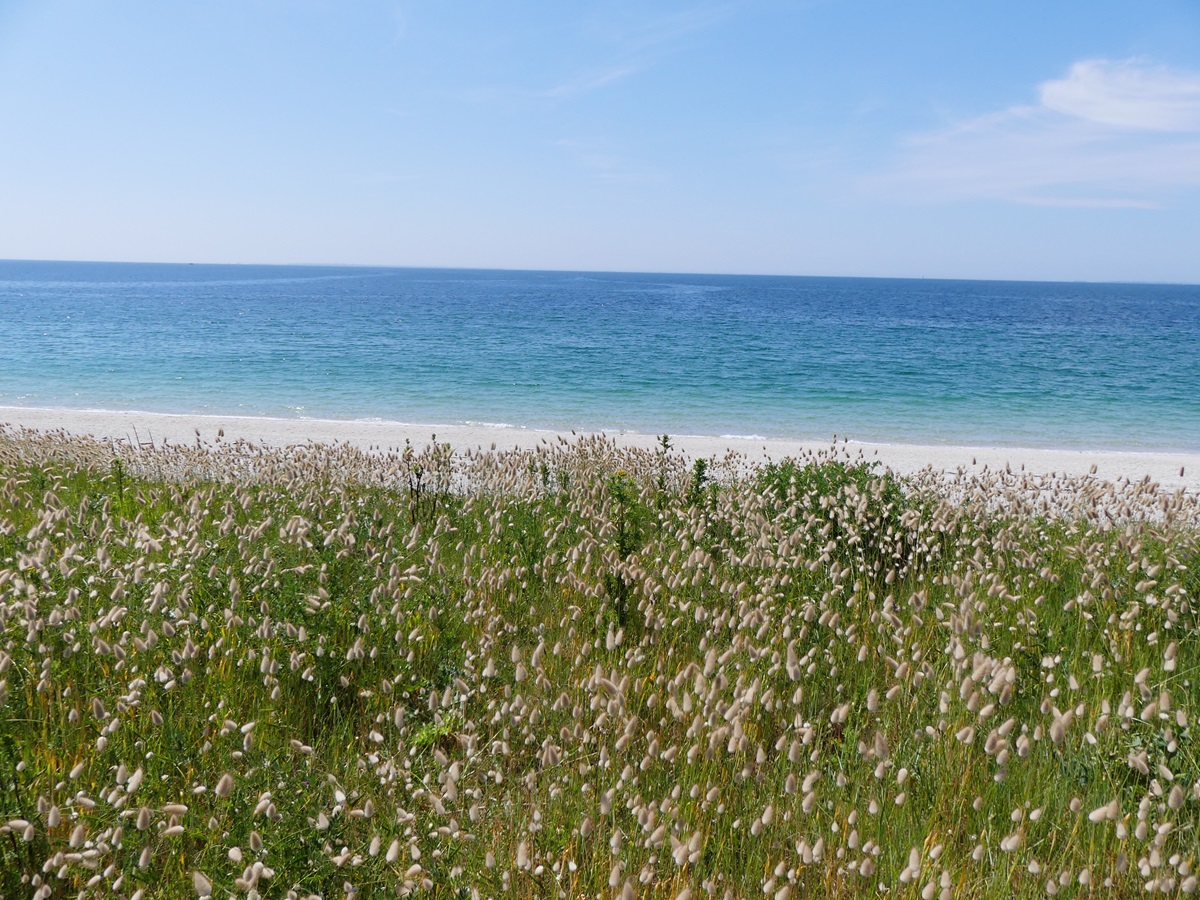 Plage des Govelins