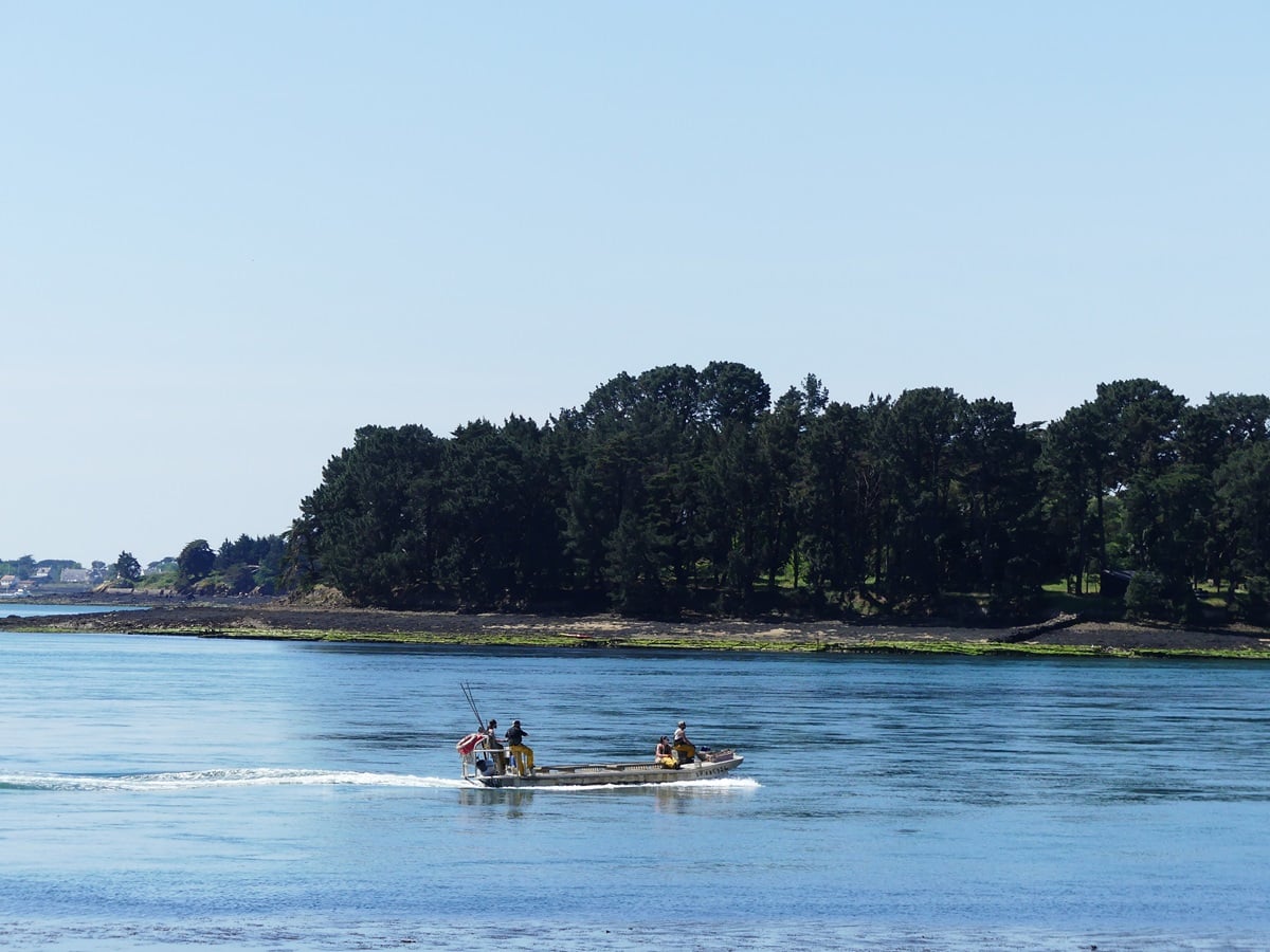 Plage du Berchis avec vue sur les îles du Golfe du Morbihan