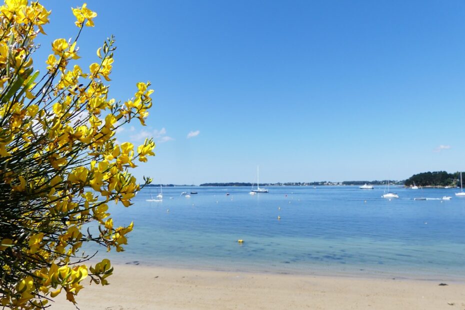 plage du drehen ile aux moines morbihan