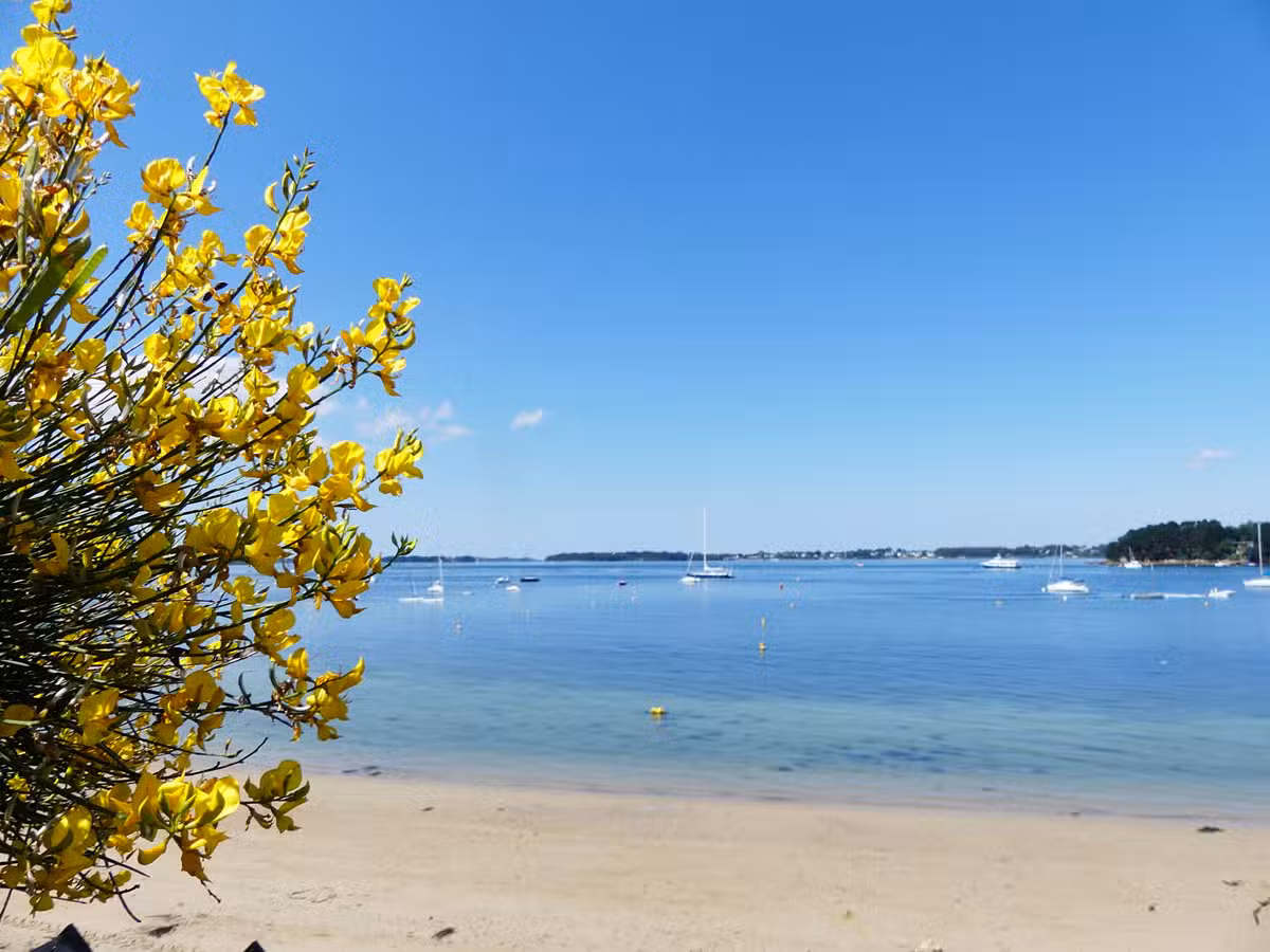 Croisière sur le Golfe du Morbihan depuis Vannes