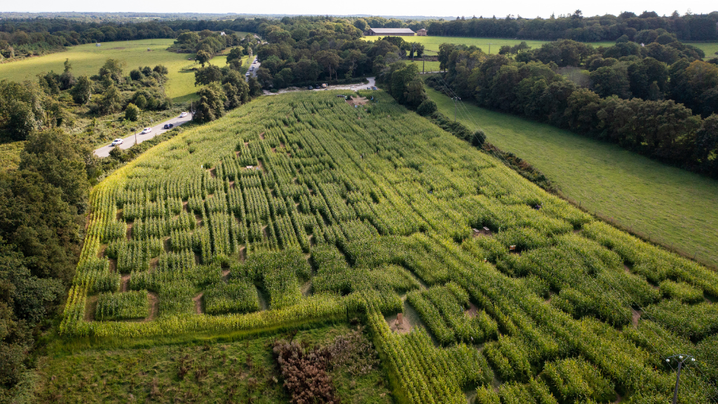 Labyrinthe de maïs géant Pop Corn Labyrinthe à Ploemel, Morbihan