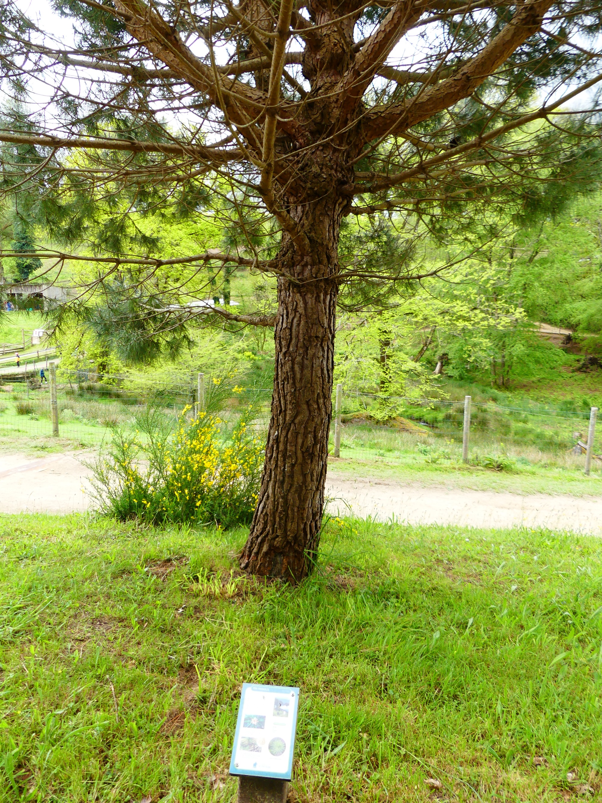 Sensibilisation &agrave; l&rsquo;environnement