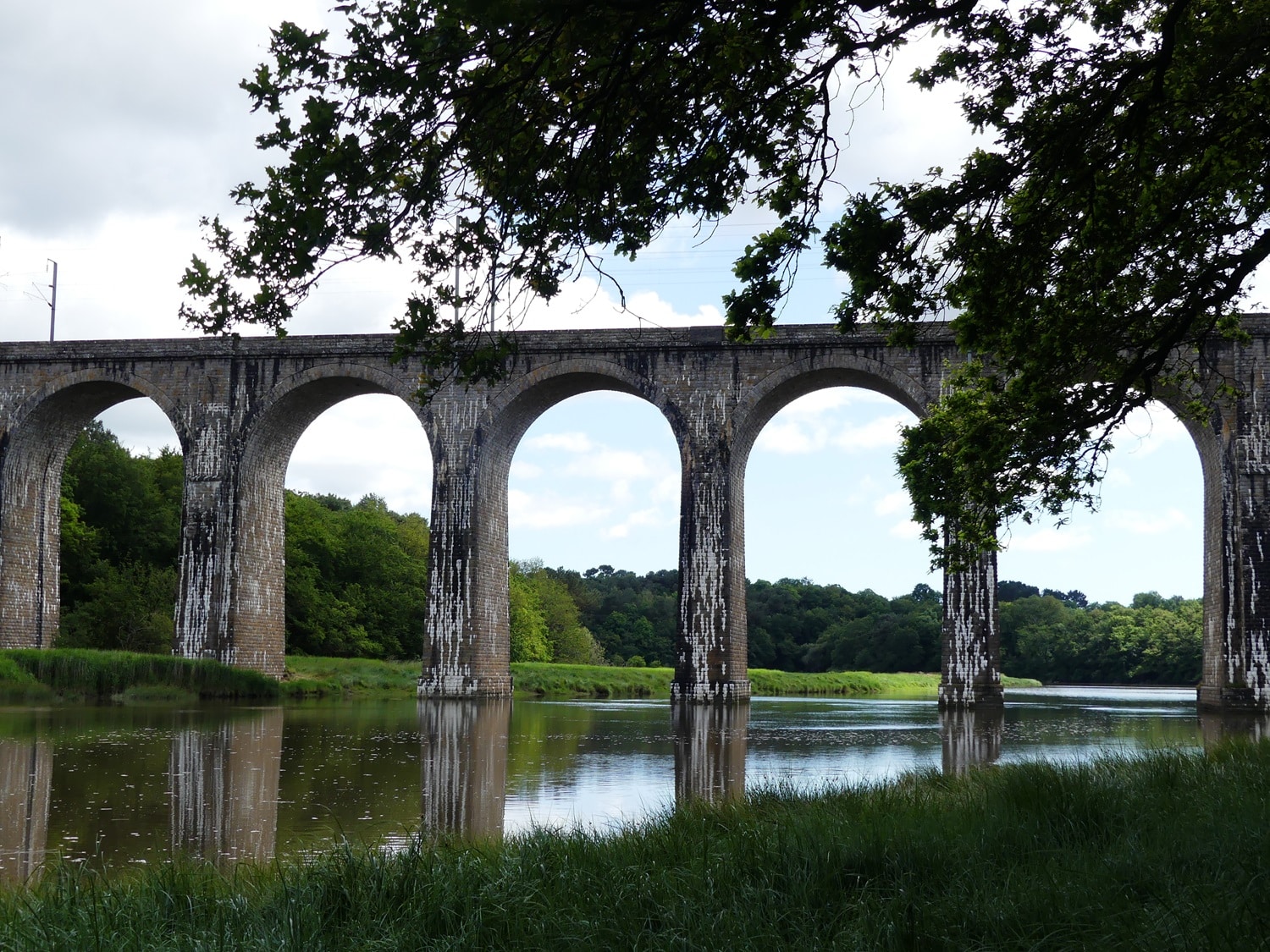 Vue d'ensemble du viaduc et de la petite forêt d'Auray